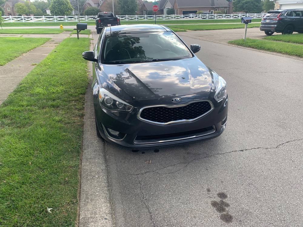 2015 Kia Cadenza