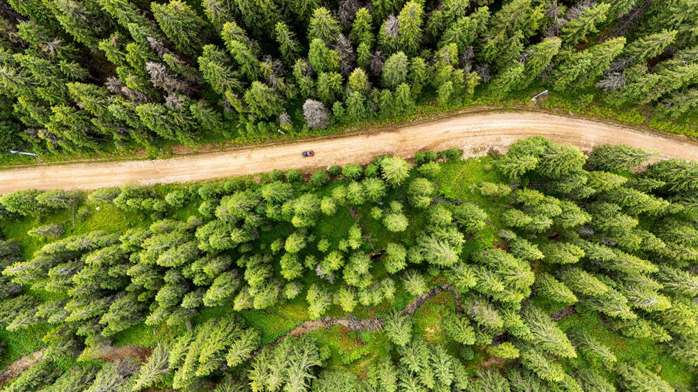 Earth Day Car
